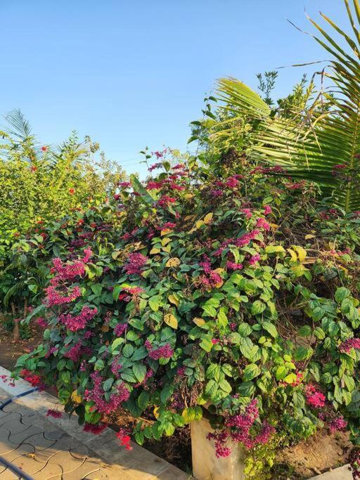 גנדהינאגר Farmhouse Close To Nature - Kesari Farm מראה חיצוני תמונה